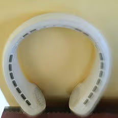 priya naik review photo